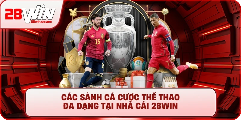 Cá Cược Thể Thao - Từ Đọc Kèo Cơ Bản Đến Soi Kèo Chuyên Gia 2 Các sảnh cá cược thể thao đa dạng tại nhà cái 28Win