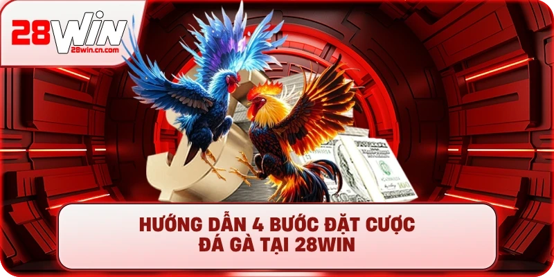 Đá Gà 3 Hướng dẫn 4 bước đặt cược đá gà tại 28Win