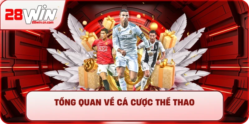 Cá Cược Thể Thao - Từ Đọc Kèo Cơ Bản Đến Soi Kèo Chuyên Gia 1 Tổng quan về cá cược thể thao